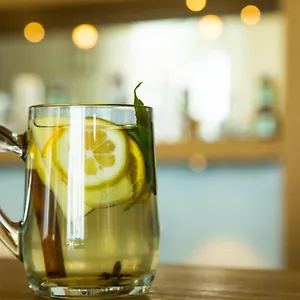 The Lifeco Well-being Detox Center And Vegan Hotel